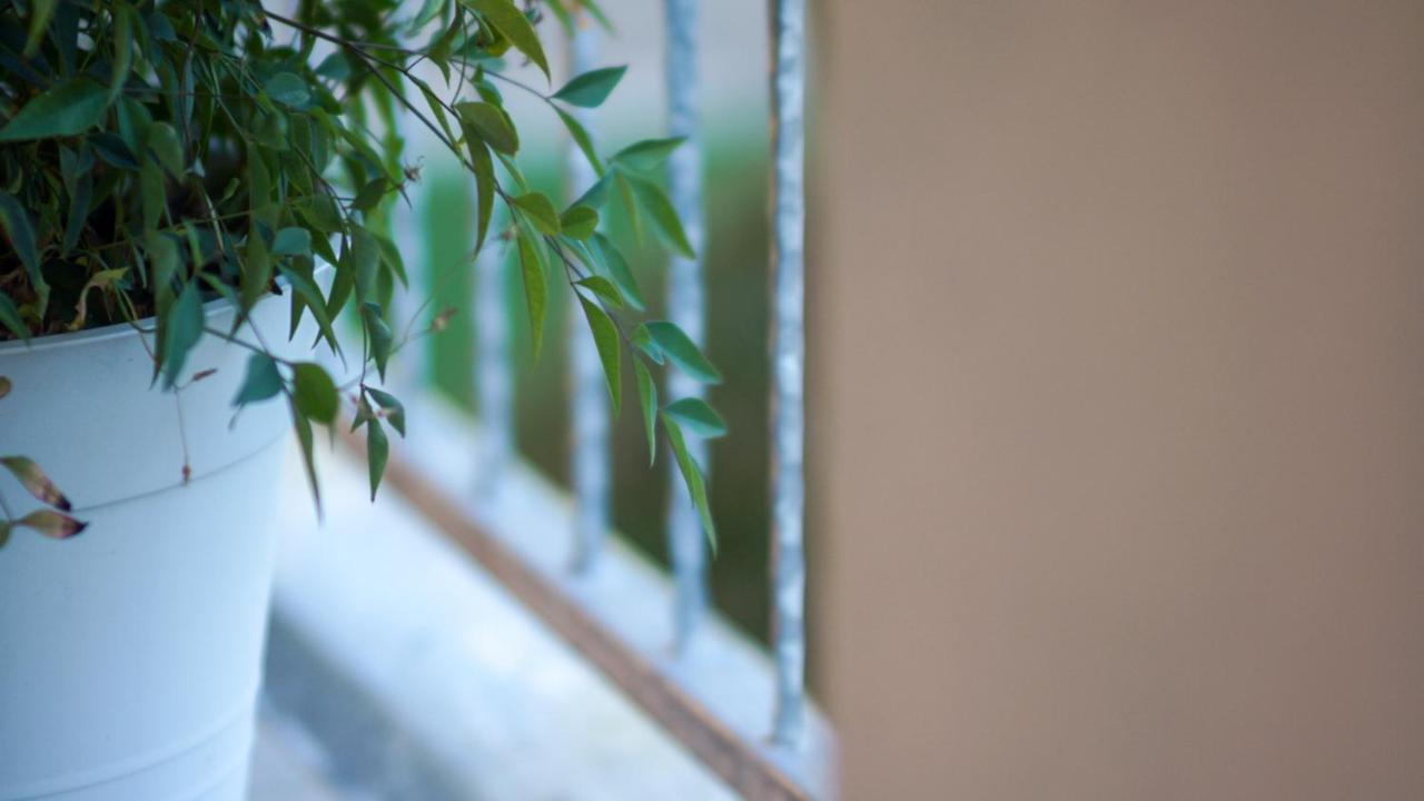 Bed & Breakfast La Pilona Bagnolo San Vito 外观 照片