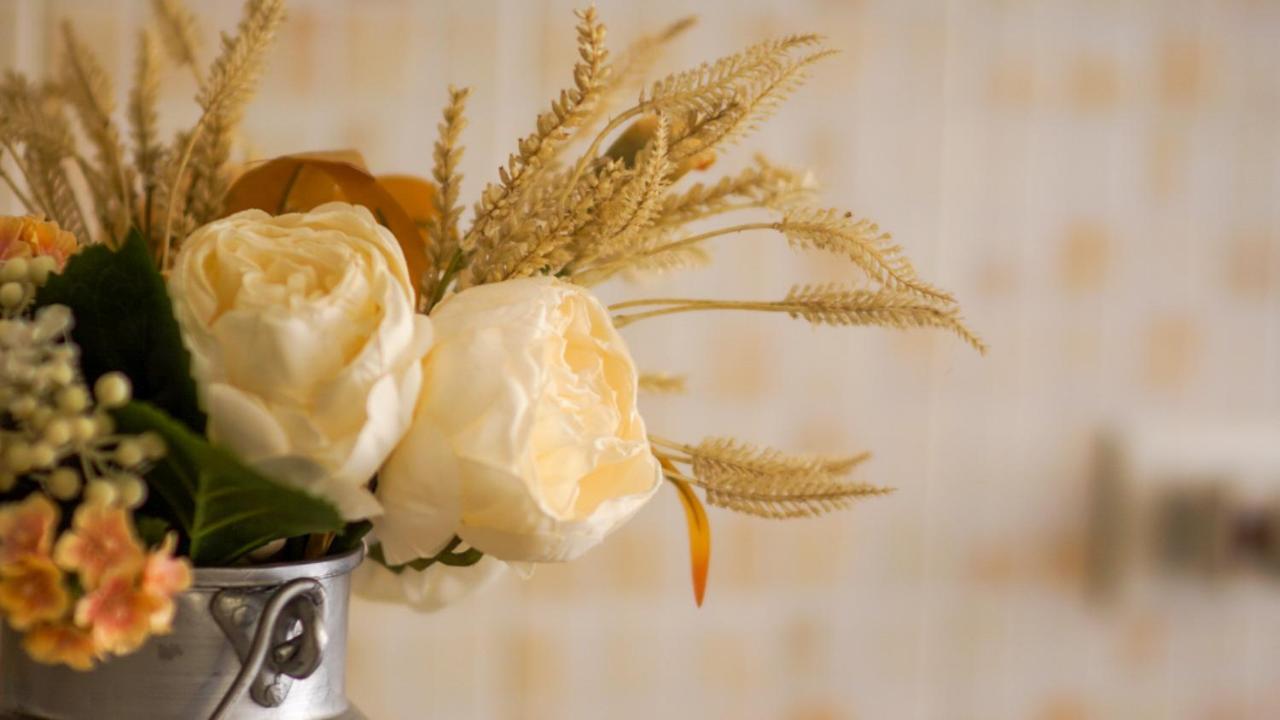 Bed & Breakfast La Pilona Bagnolo San Vito 外观 照片